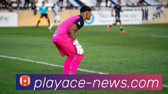 PA真人官网服务体系